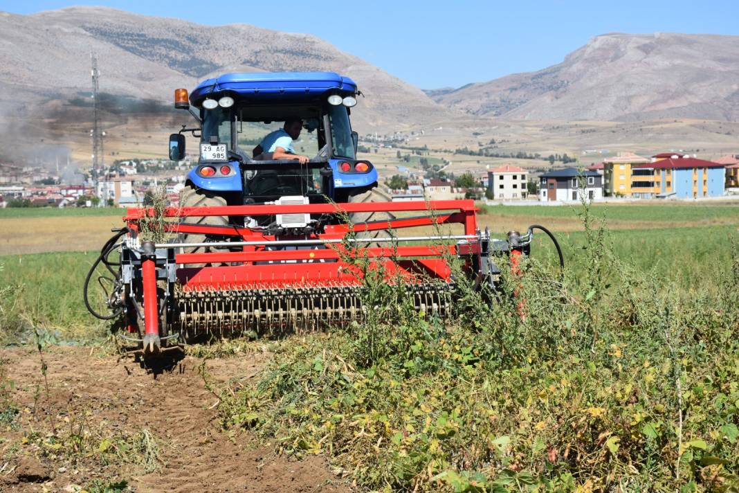 Hasadı başladı. Kalitesini şeker gibi tadından alıyor 3